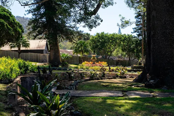 leaf, plants, vegetation, garden, shrub, landscape