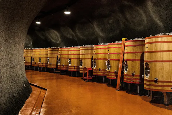 barrel, winery, wine cellar, cylinder, wood stain