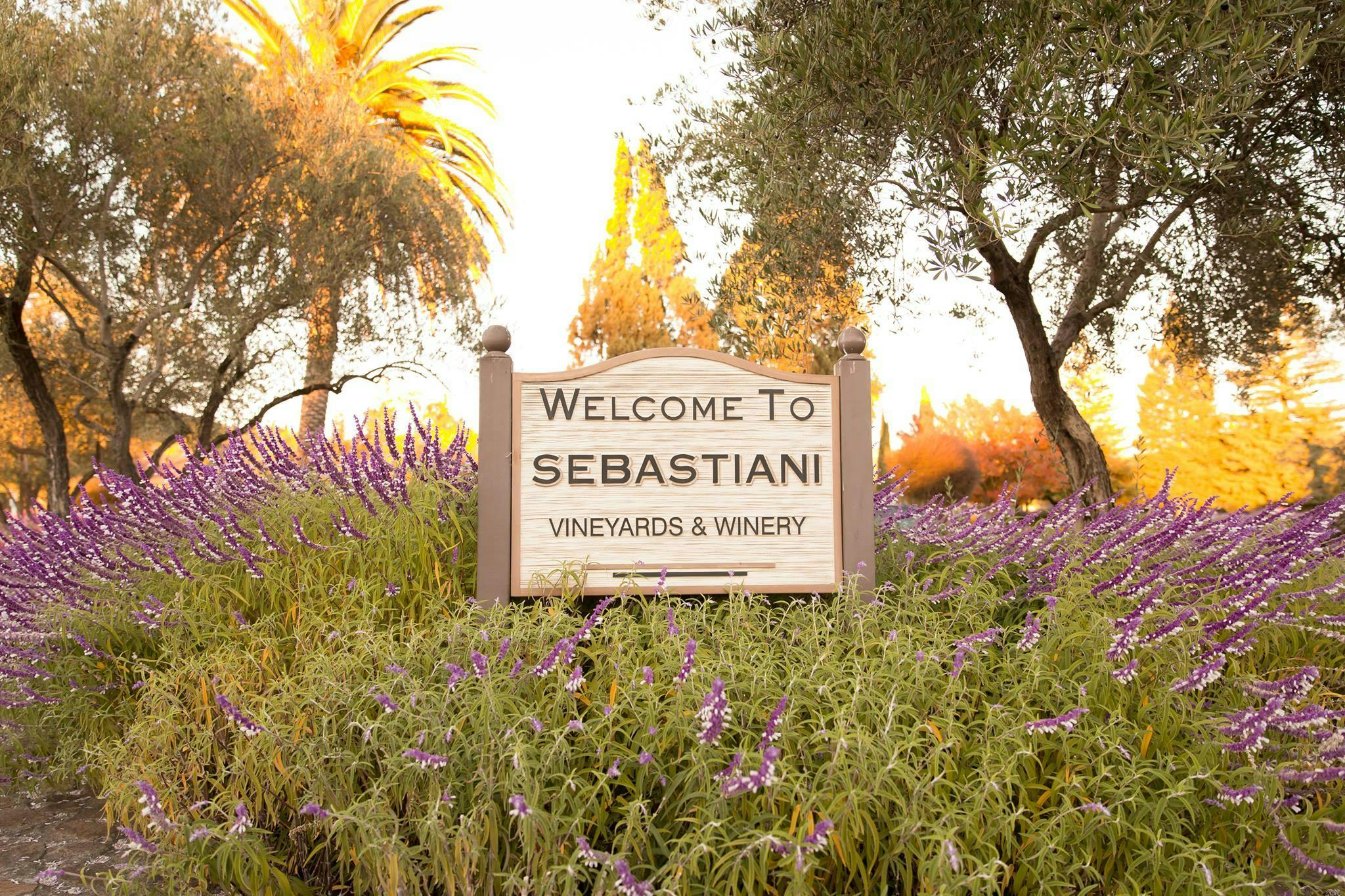 Sebastiani Vineyards and Winery