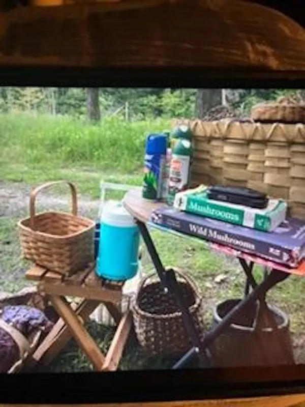 furniture, outdoor furniture, outdoor table, backyard, yard, wood stain