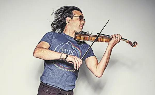 string instrument, violin family, musical instrument, chordophone, fiddle, violinist