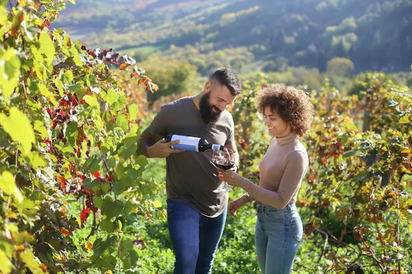 summer, agriculture, people in nature, spring, plantation, vineyard