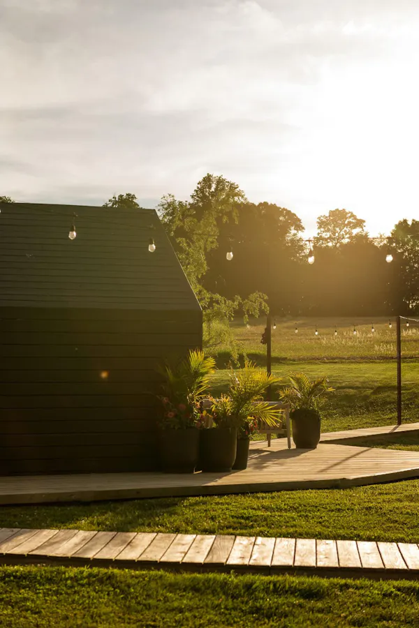 garden, lawn, landscaping, shade, siding, backyard