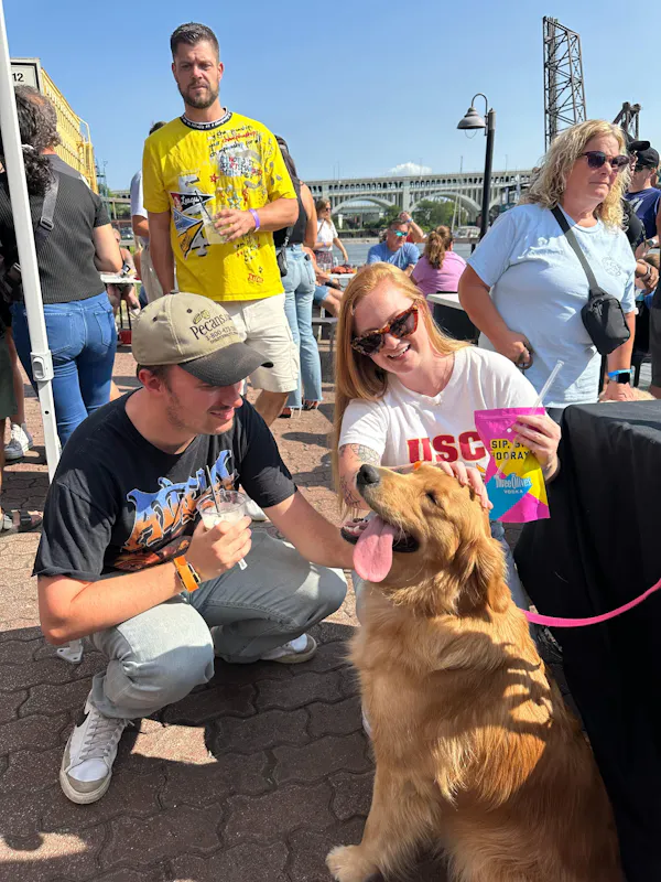 dog, carnivores, fun, canidae, sunglasses, fur