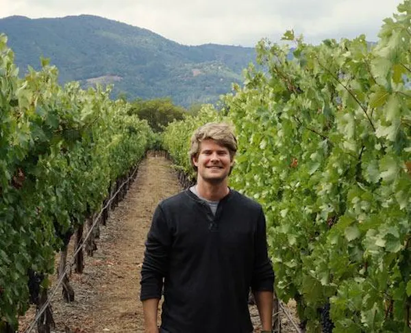 agriculture, plantation, vineyard, people in nature, hill station, grapes