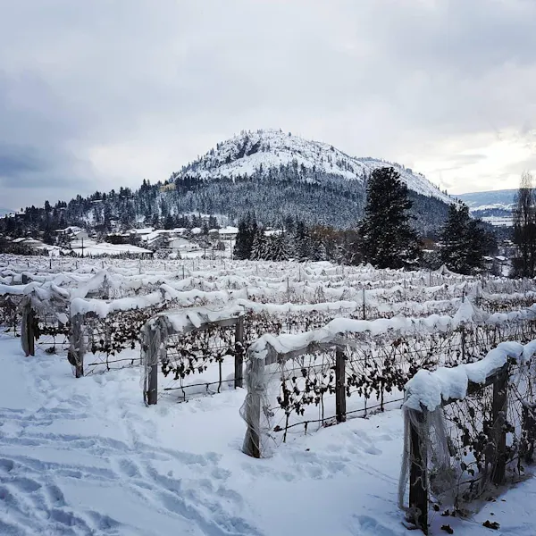snow, winter, sky, freezing, mountain, wilderness