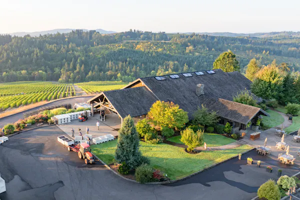 estate, restaurant, landscaping, eco hotel, driveway