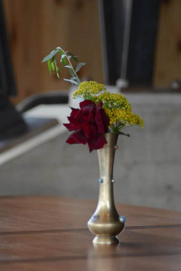 floristry, flower arranging, cut flowers, petal, flower bouquet, vase