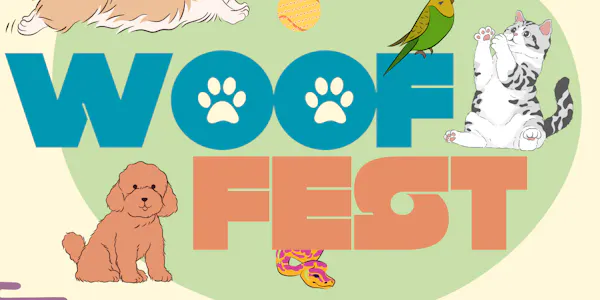 dog, carnivores, toy dog, canidae, advertising, kennel club