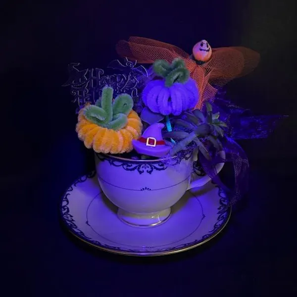 purple, serveware, dishware, still life photography