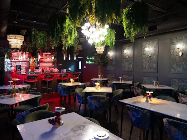 restaurant, night, light fixture, bar