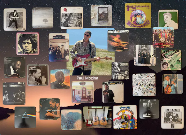 chordophone, guitar, collage, guitarist, plucked string instrument, musical instrument