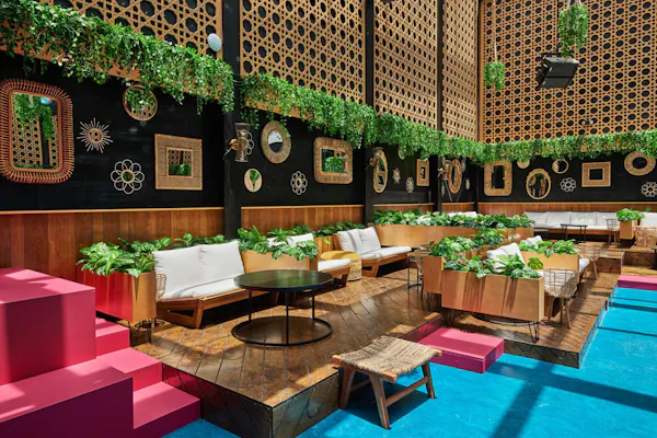 restaurant, chair, houseplant, wood stain, decoration, outdoor table
