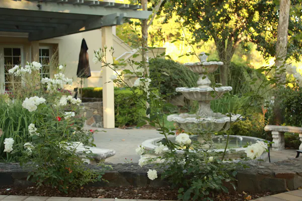 garden, property, yard, flower, floristry, plant