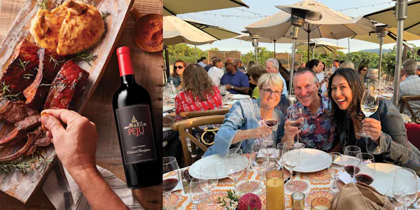 alcoholic drink, wine, dessert wine, liquor, red wine, wine tasting