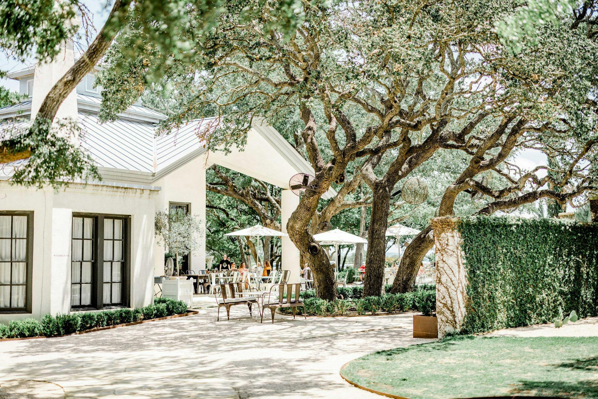 Signor Vineyards - Fredericksburg