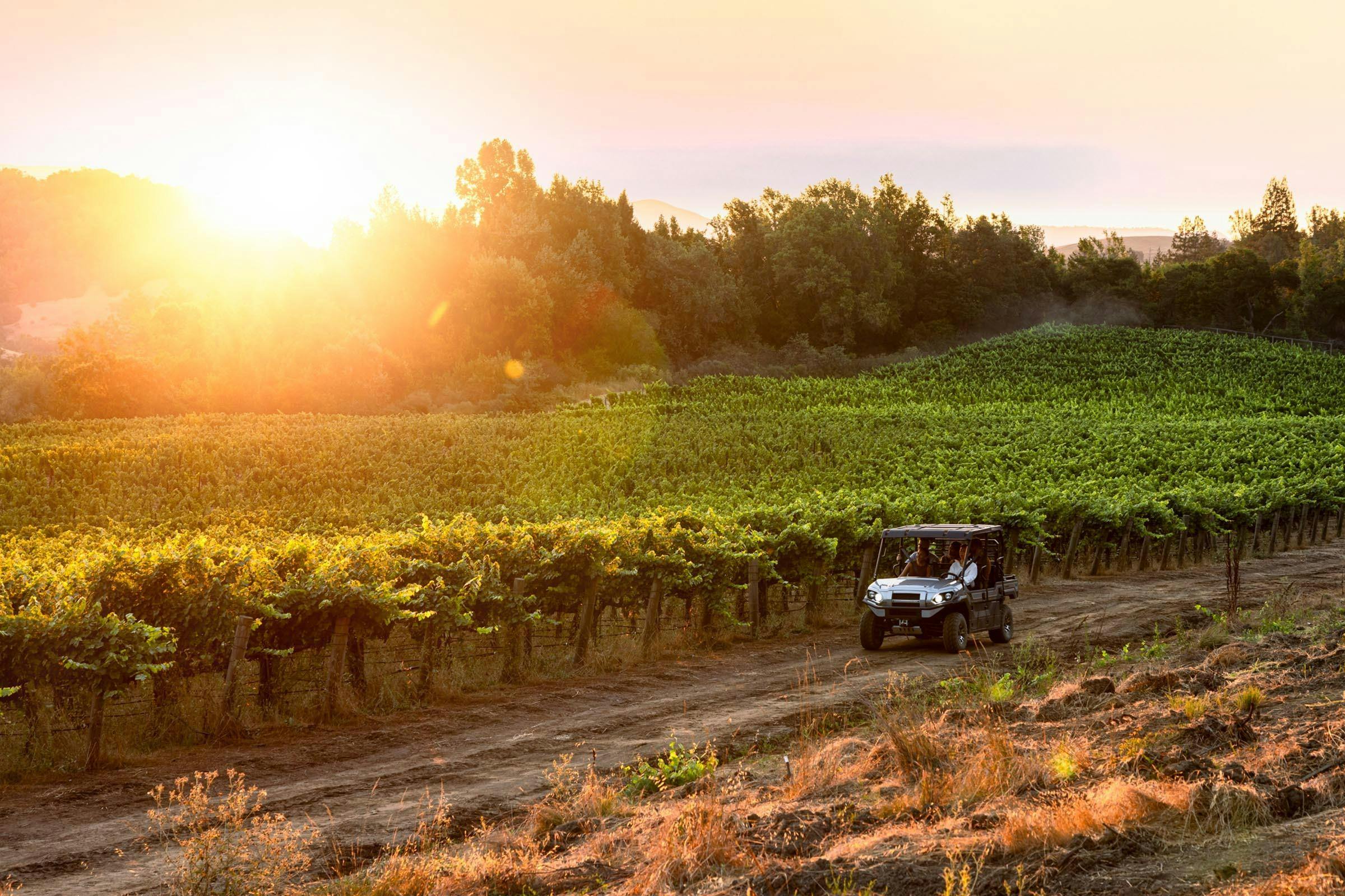 Hess Persson Estates - ATV Vineyard Tour & Tasting - Napa, CA | Tock