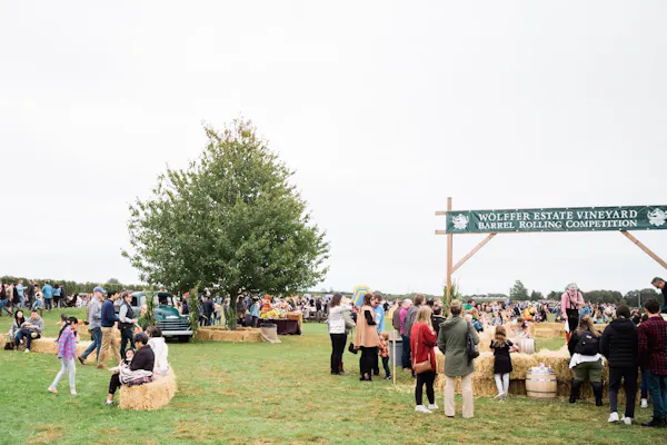 sky, plant, grass, tree, leisure, crowd
