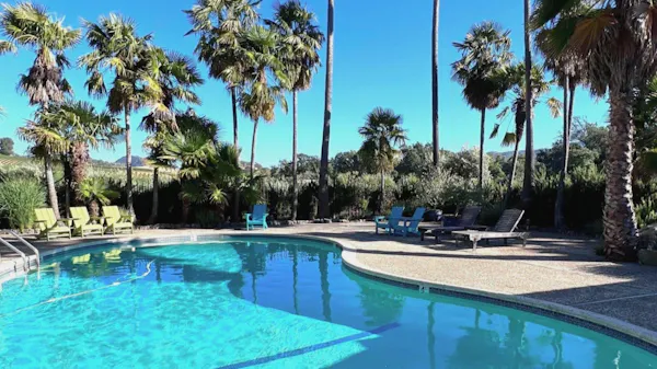 blue, resort, swimming pool, palm trees, outdoor furniture, eco hotel