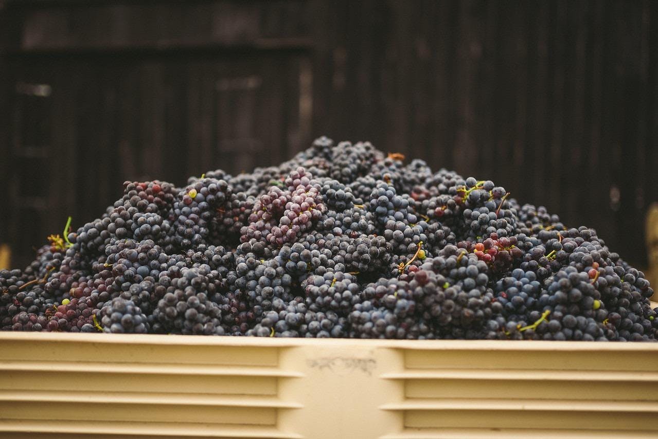 Rappahannock Cellars