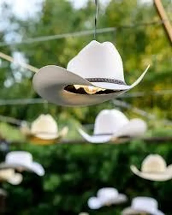 hat, headgear, sun hat, fedora, cowboy hat, costume hat
