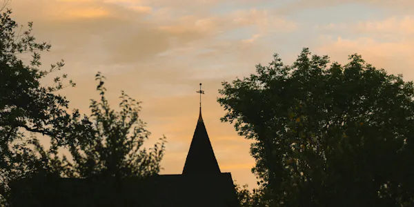 nature, leaf, branch, atmospheric phenomenon, steeple, spire