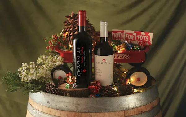 bottle, alcoholic drink, glass bottle, wine bottle, wine, liquor