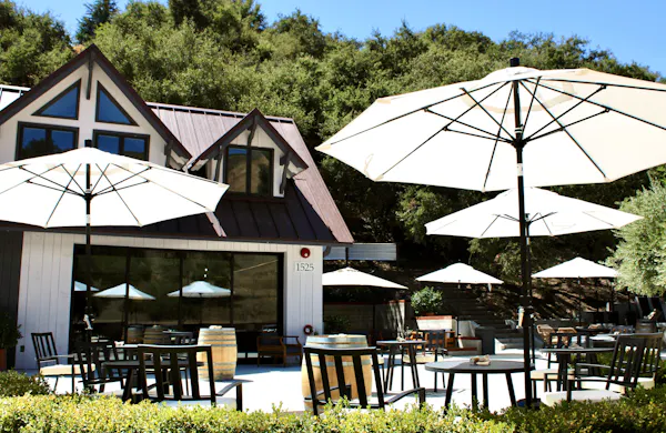 plant, umbrella, sky, table, shade, tree