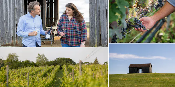 agriculture, people in nature, field, plantation, farm, vineyard