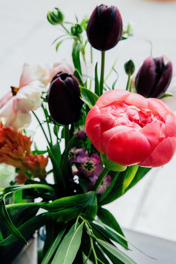 Bullard Tavern Portland, OR Tock