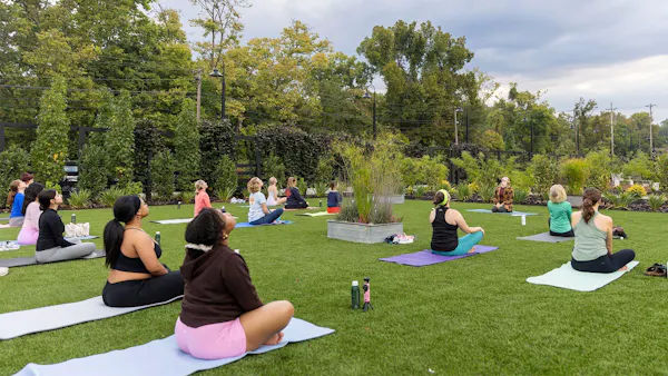 yoga, exercise, leisure, physical fitness, recreation, people in nature