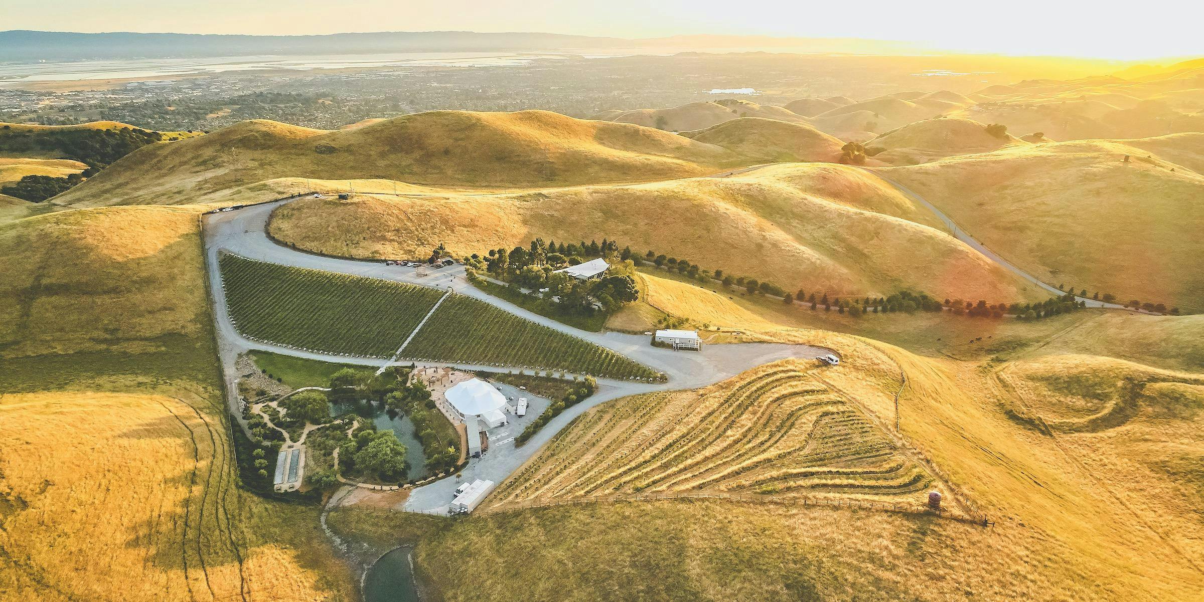 Nella Terra Cellars