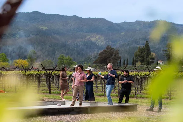 sky, plant, mountain, ecoregion, musical instrument, people in nature