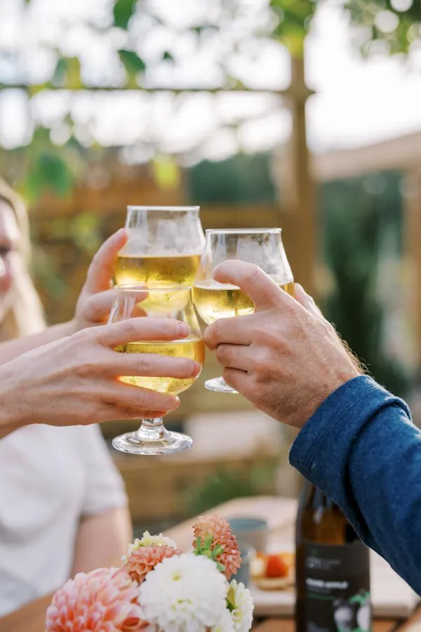 tableware, drinkware, alcoholic drink, barware, champagne glass, stemware