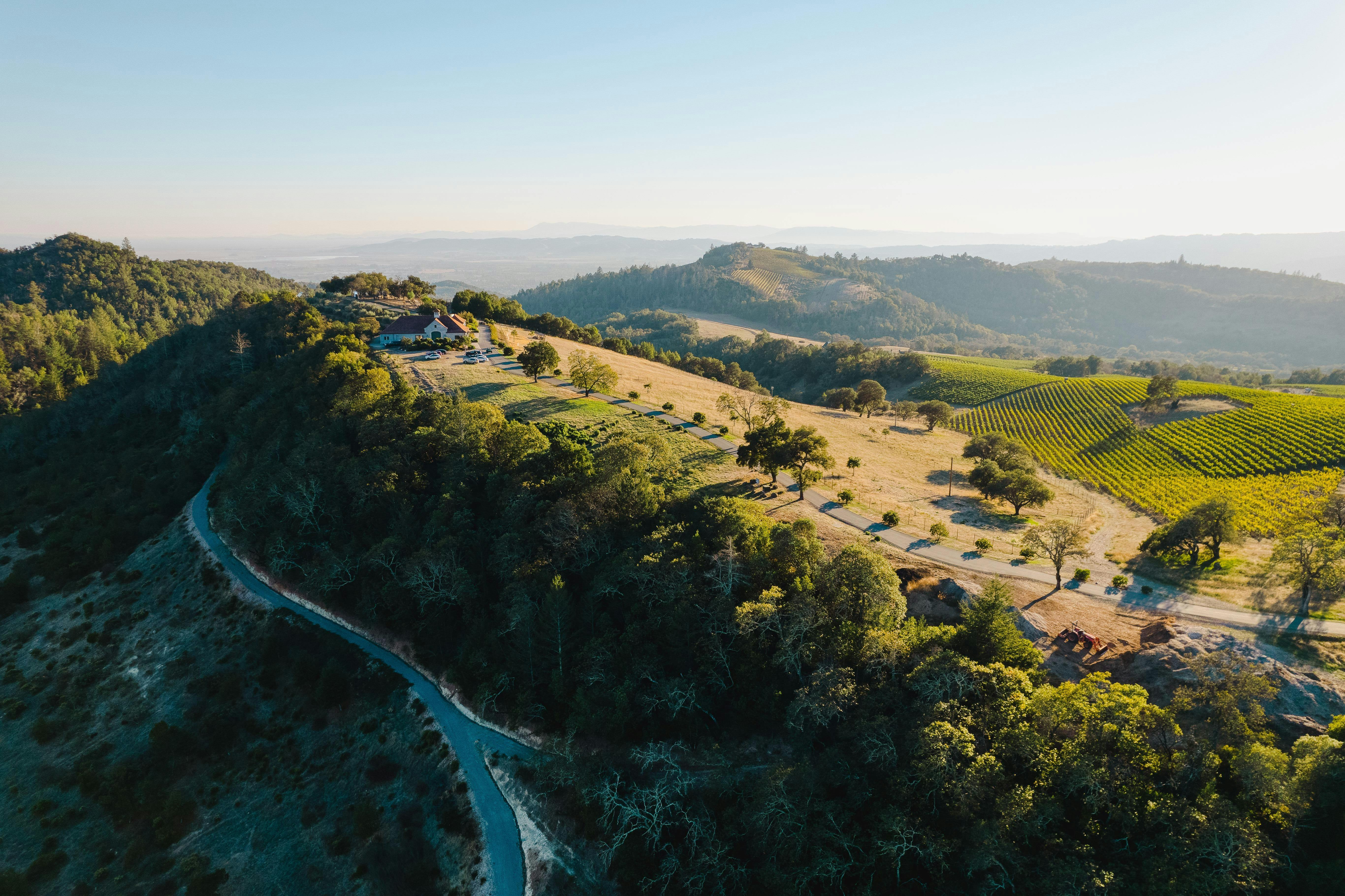 Moon Hollow Estate Wines 