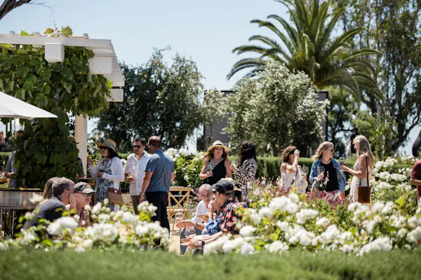 event, spring, leisure, garden, crowd, party