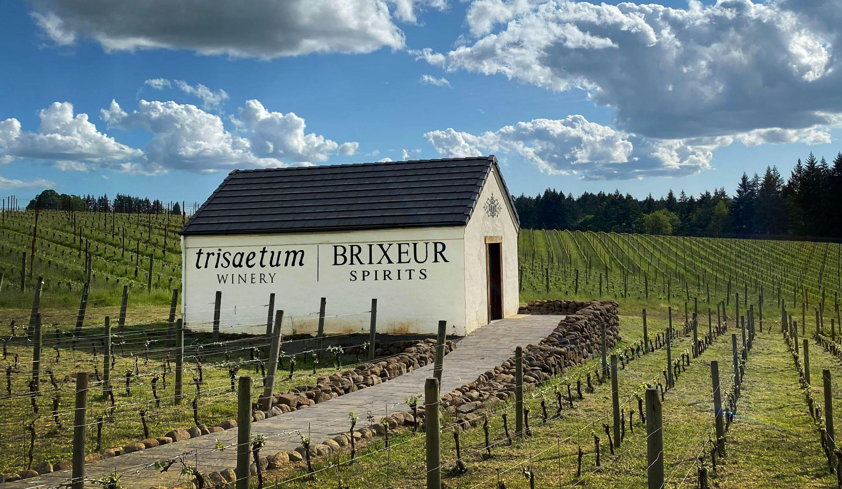 Trisaetum Winery & Brixeur Spirits