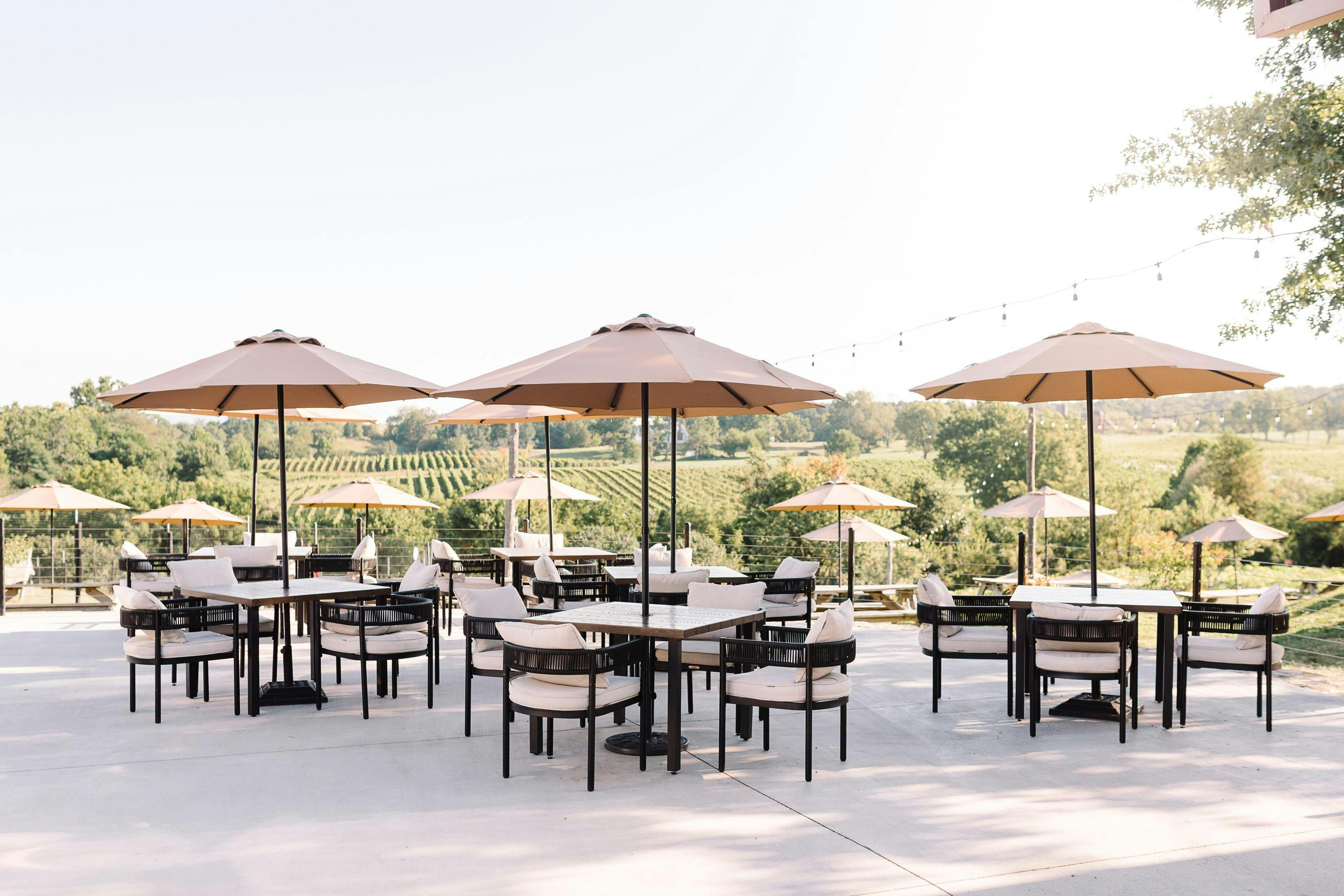 Barrel Oak Winery & Brewery