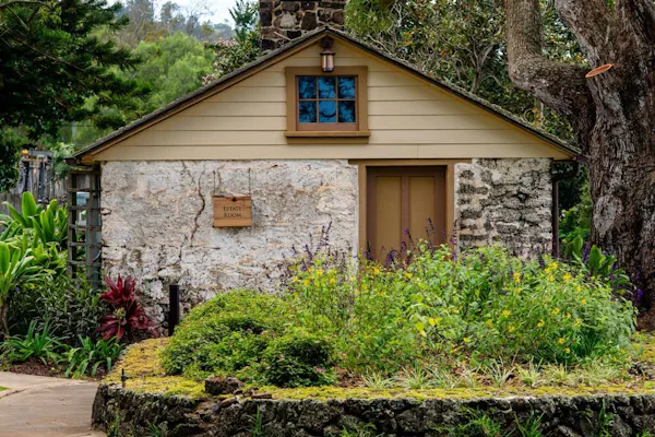 house, cottage, shrub, roof, home, rock