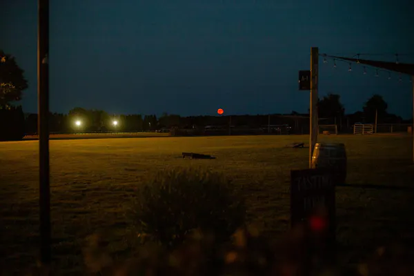 nature, landscape, plain, land lot, dusk, night