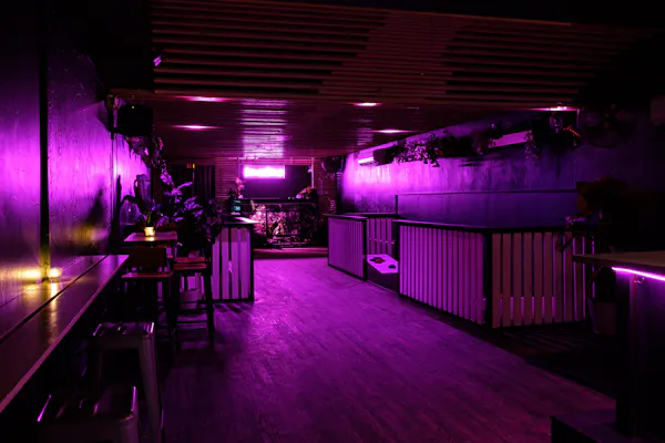 purple, light, lighting, violet, entertainment, pink
