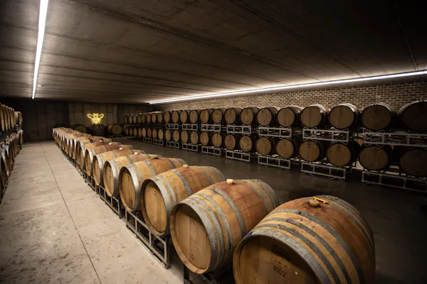 barrel, winery, wine cellar, brewery, mass production, gas
