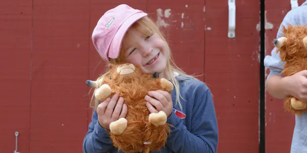 stuffed toy, toy, plush, child, teddy bear, blond