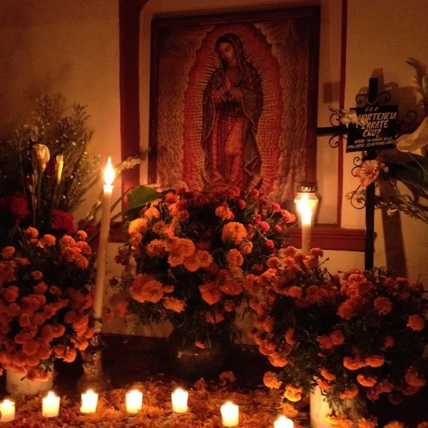 lighting, petal, floristry, flower arranging, candle, cut flowers