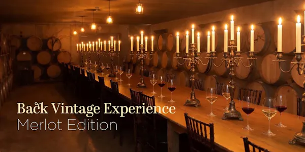 lighting, barrel, light fixture, winery, ceiling, wine cellar