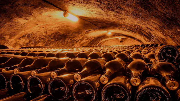 wine cellar, winery, still life photography, bottle