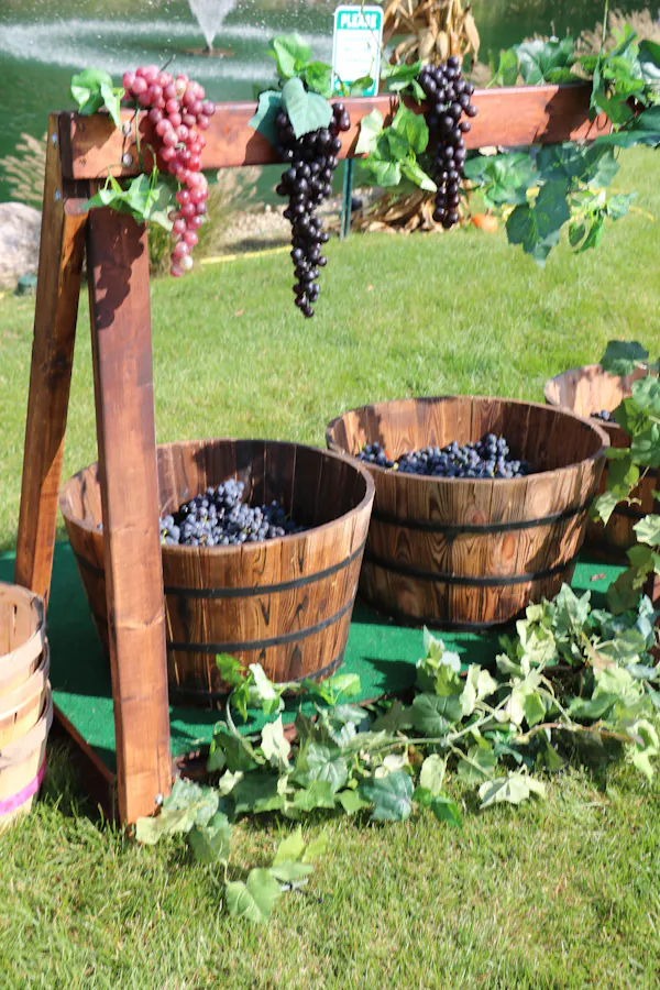 fruit, produce, natural foods, grape, grapes, seedless fruit