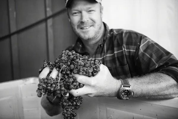 grapes, produce, fruit, grape, food, natural foods