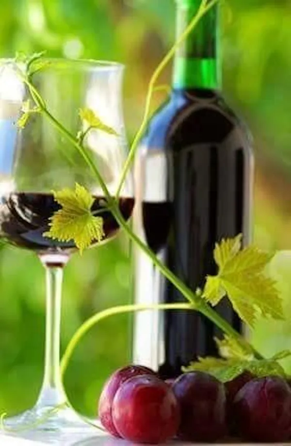 bottle, alcoholic drink, stemware, alcohol, tableware, wine glass