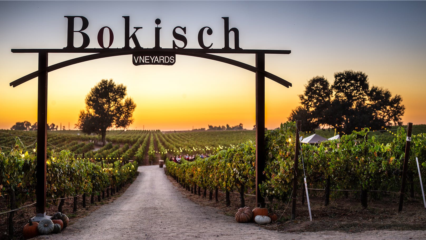 Bokisch Vineyards 